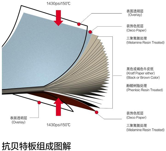 草莓视频色版下载抗倍特板組成圖解